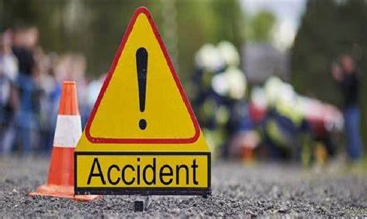 Ananta Ahuja Accident: Pedestrian Death Along Wit Her Dog