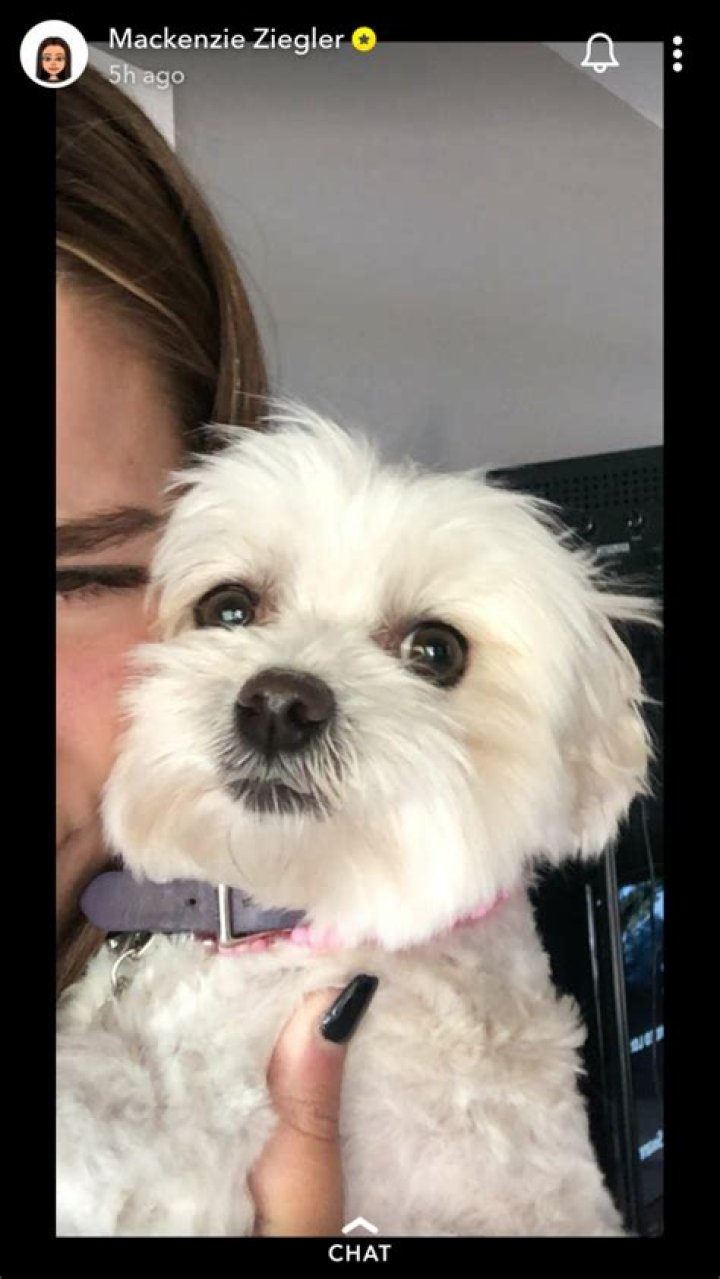 Maddie Ziegler Pets - Celebrity Pets